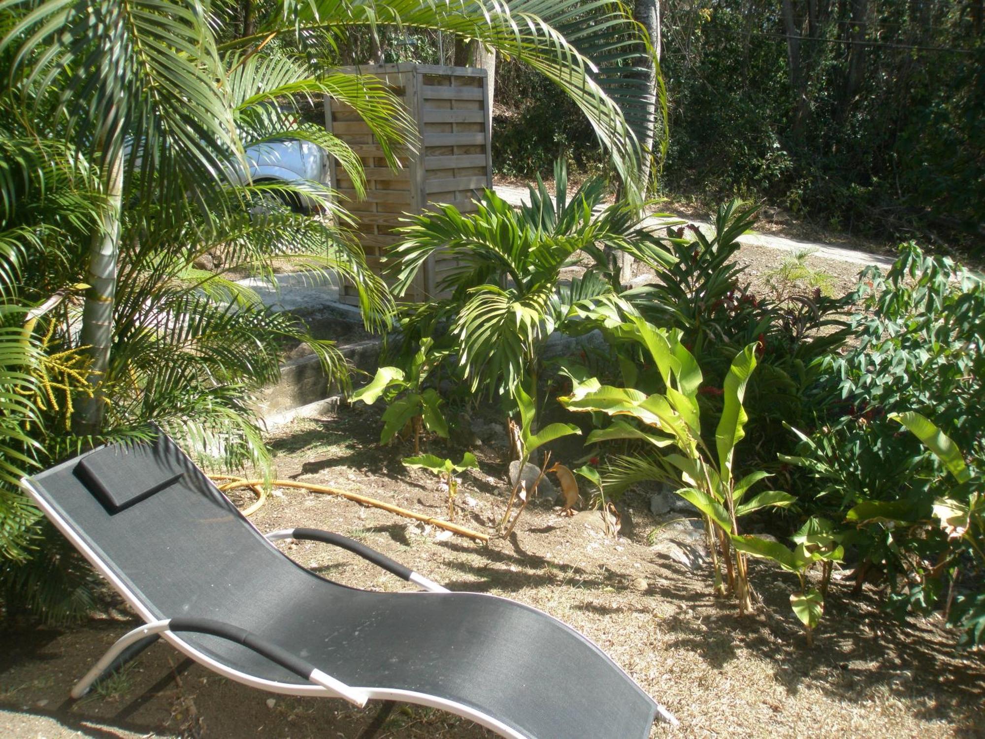 Oasis De Grande Anse Villa Deshaies Bilik gambar