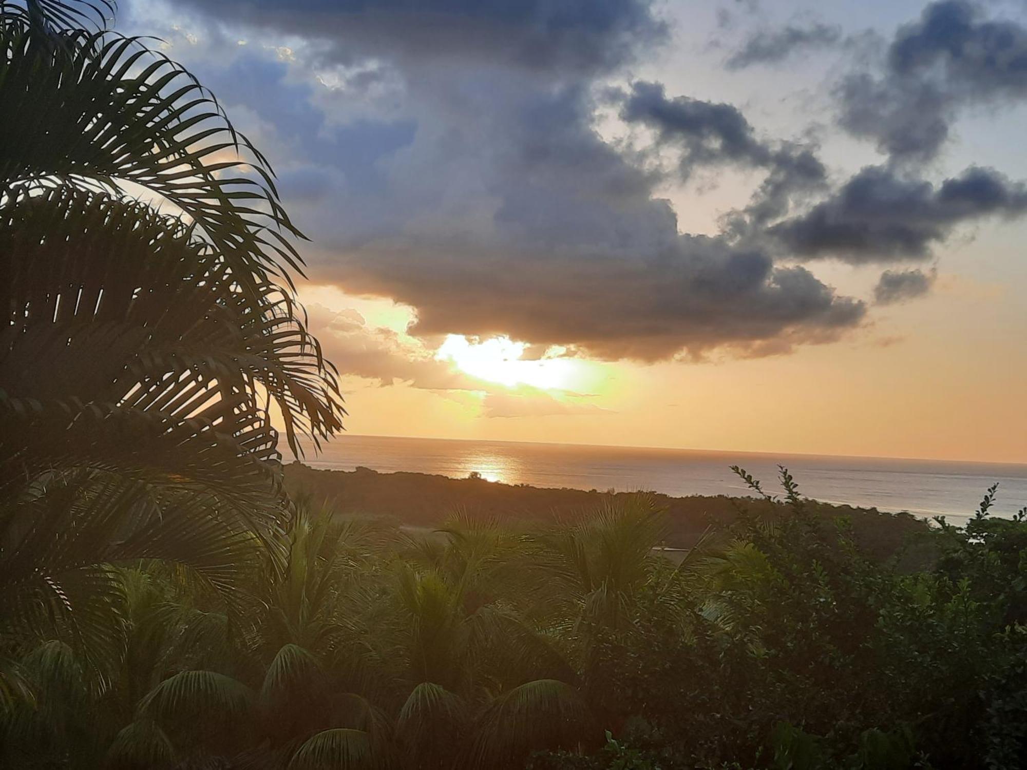 Oasis De Grande Anse Villa Deshaies Luaran gambar