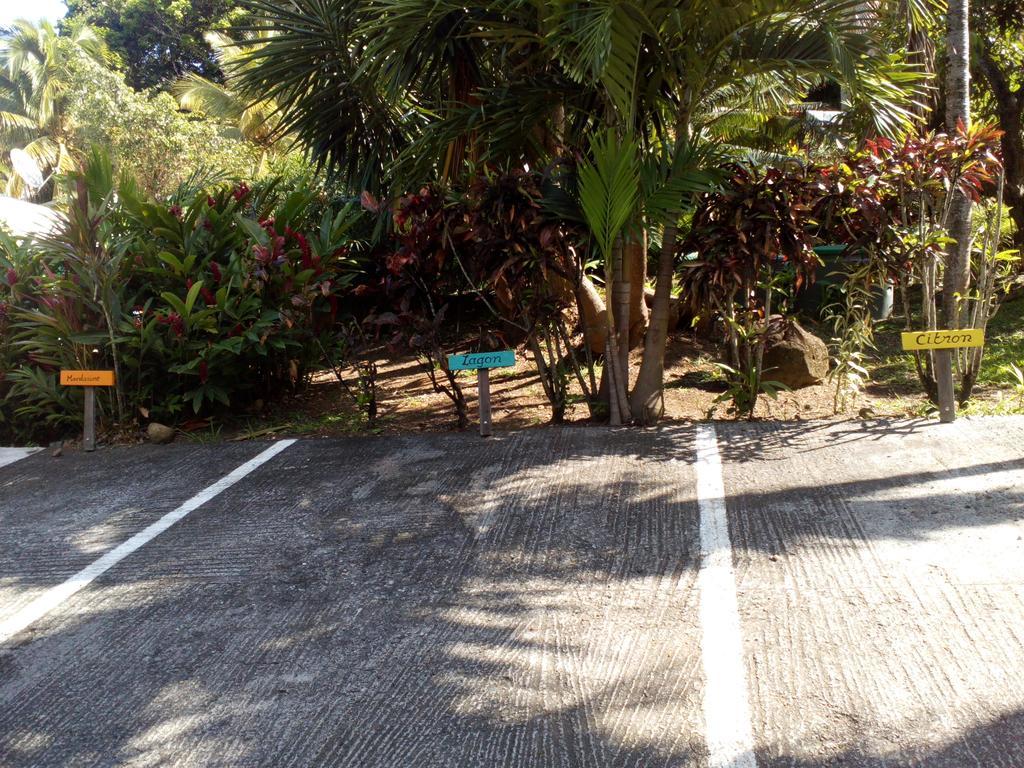 Oasis De Grande Anse Villa Deshaies Luaran gambar