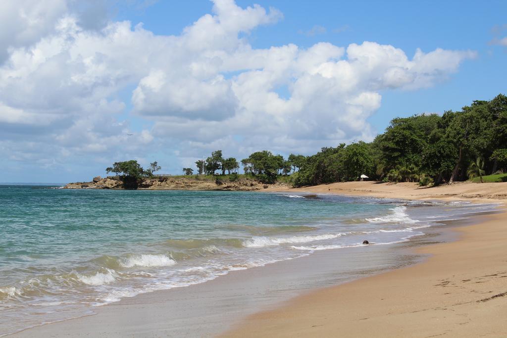 Oasis De Grande Anse Villa Deshaies Luaran gambar