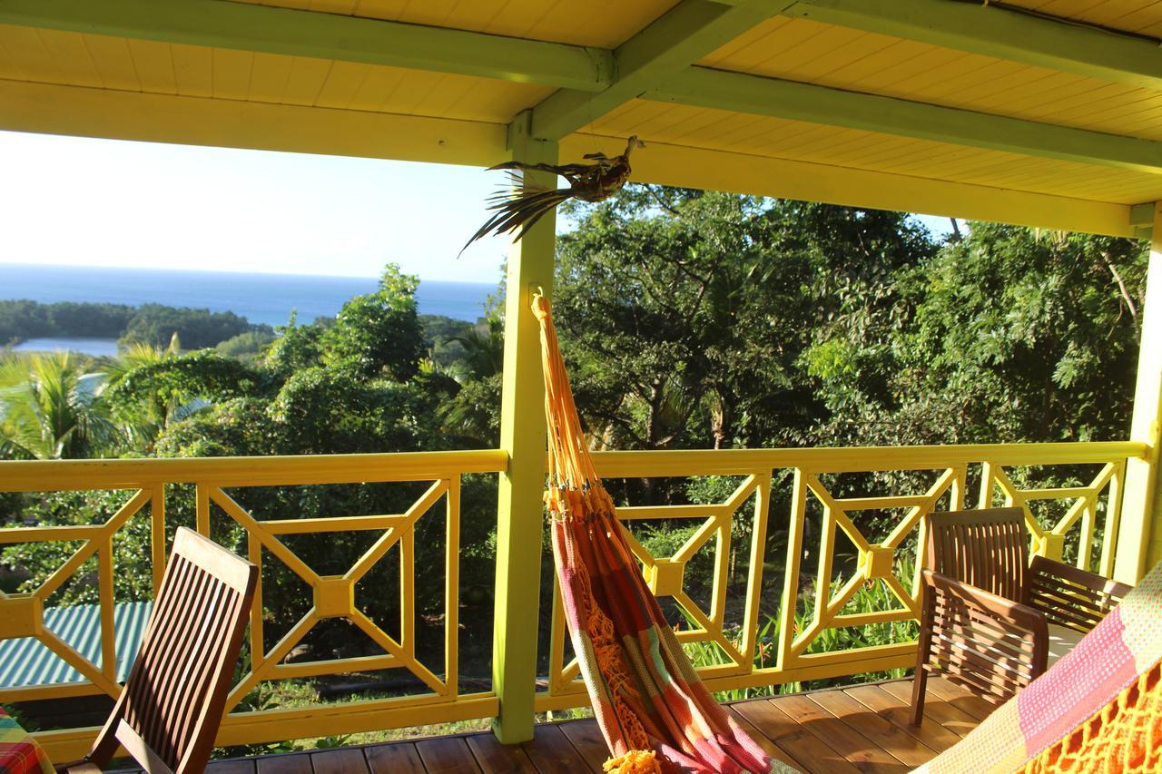 Oasis De Grande Anse Villa Deshaies Luaran gambar
